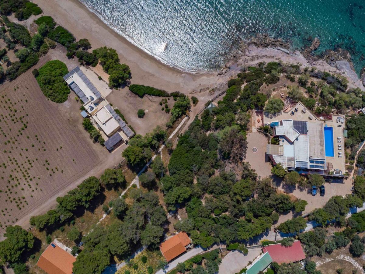 Black Diamond Beachfront Pool Villa Pasithea In Sounio, Athens Sounion Exterior photo