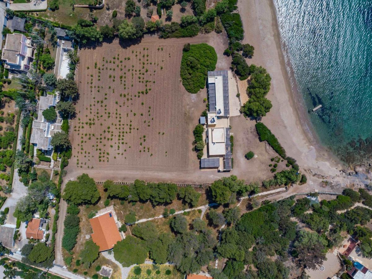 Black Diamond Beachfront Pool Villa Pasithea In Sounio, Athens Sounion Exterior photo