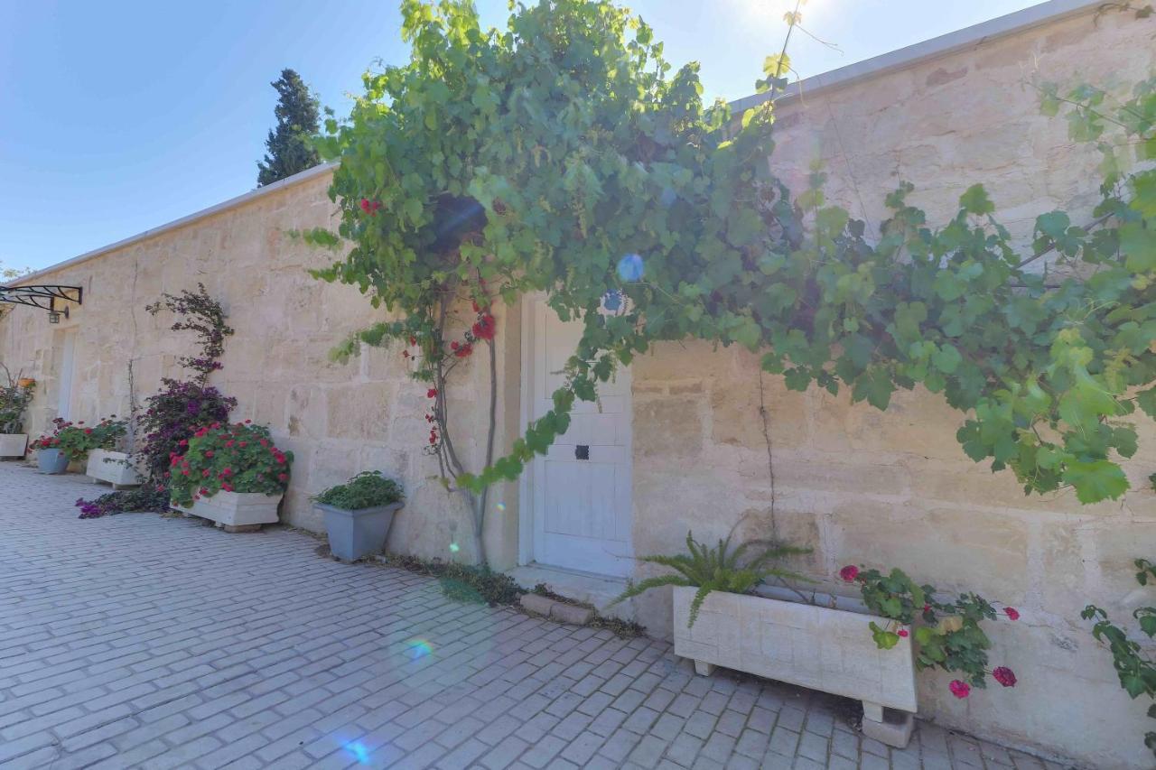 Black Diamond Beachfront Pool Villa Pasithea In Sounio, Athens Sounion Exterior photo
